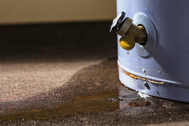 Best Water damage restoration specialists  in Running Springs, CA