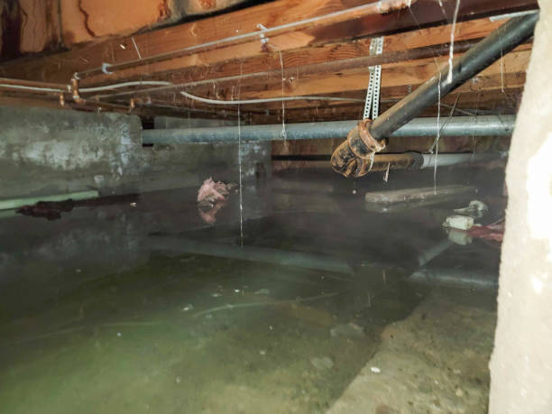 Best 24-hour water damage restoration  in Running Springs, CA