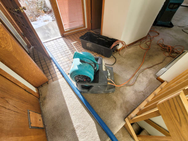 Sewage cleanup and water damage restoration in Running Springs, CA