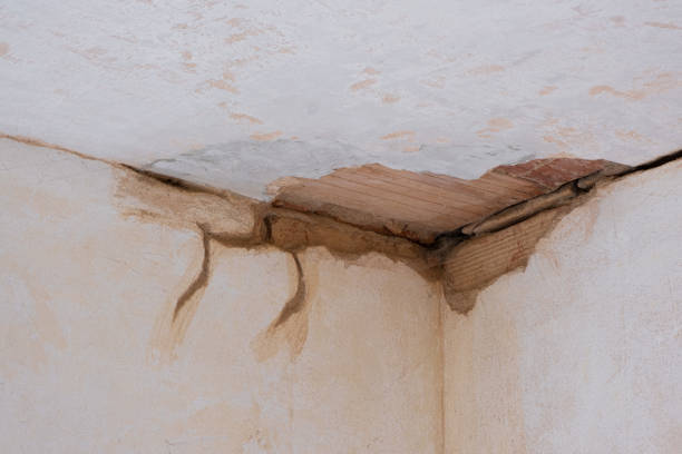 Best Flood restoration services  in Running Springs, CA
