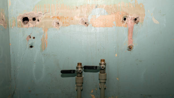 Best Carpet water damage restoration  in Running Springs, CA