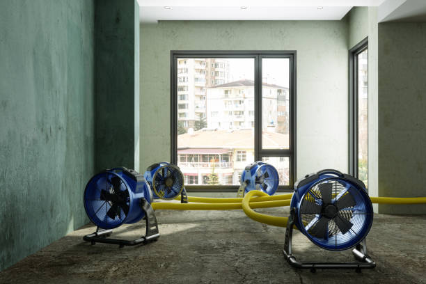 Professional Water damage restoration in Running Springs, CA